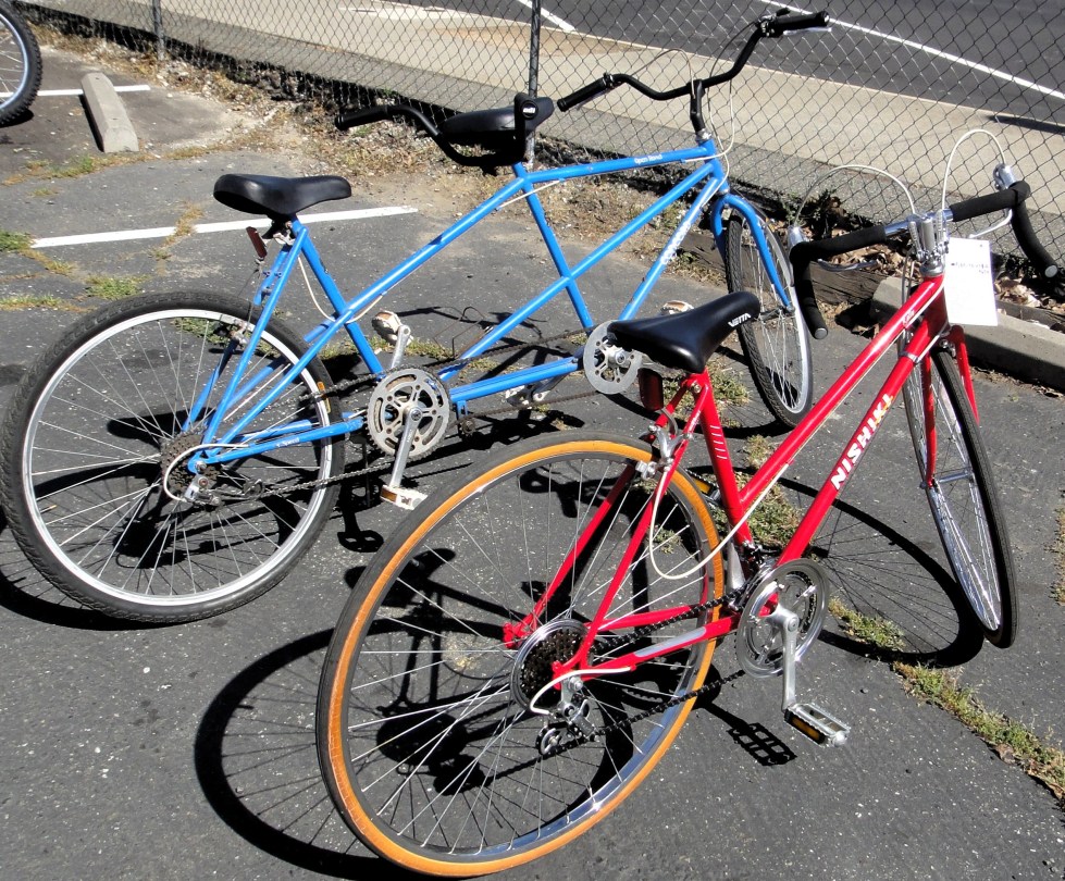 padcab-tandm_nishiki