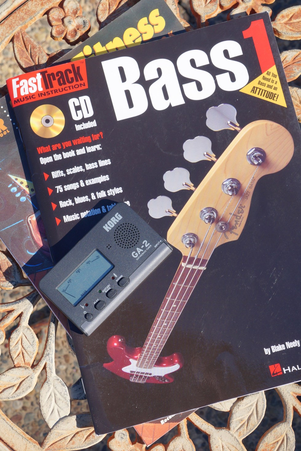 ibenez_4-string_books-tnr