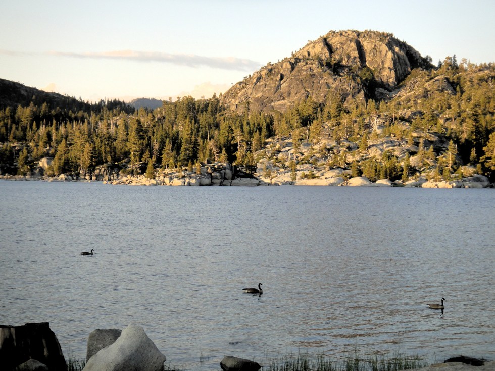 loon_lake_8-17_gees0