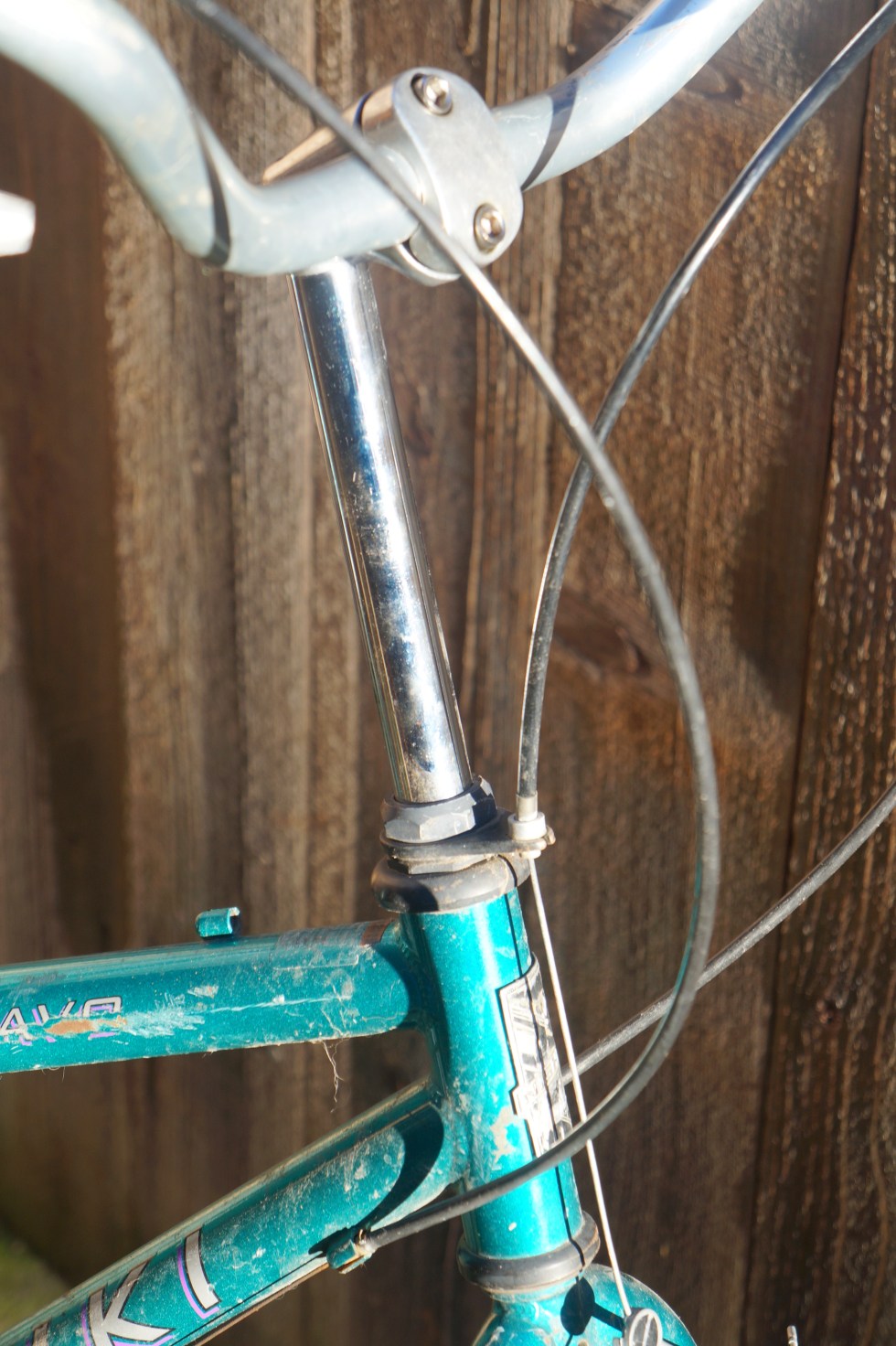 nis-frank-bike_qwl-stm