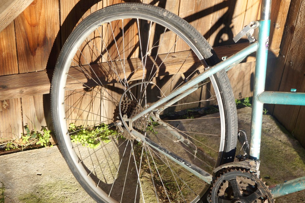 nis-frank-bike_rear-whl