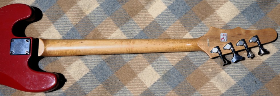 epi_accu_bass_nck-bck